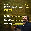 Chaillac 84000 - in cijfers 1.webp