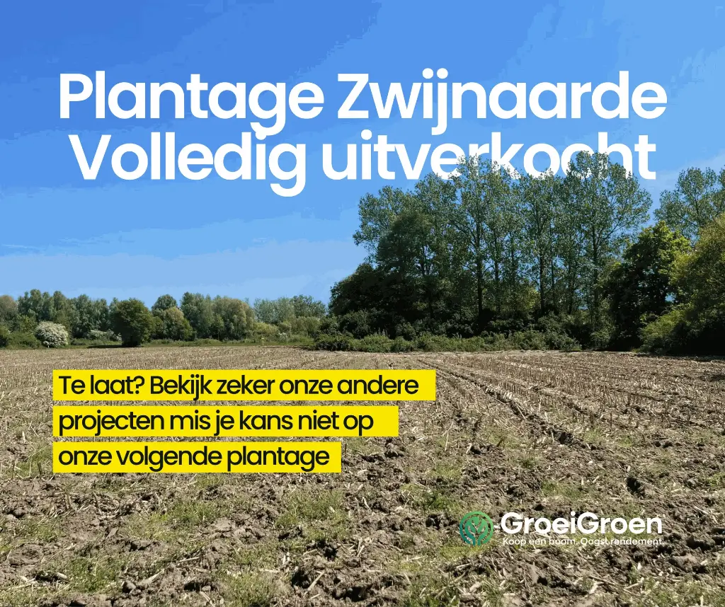 SOCIALS - Facebook posts.webp