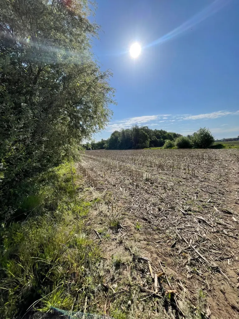 WhatsApp Image 2025-05-08 at 13.37.59.webp