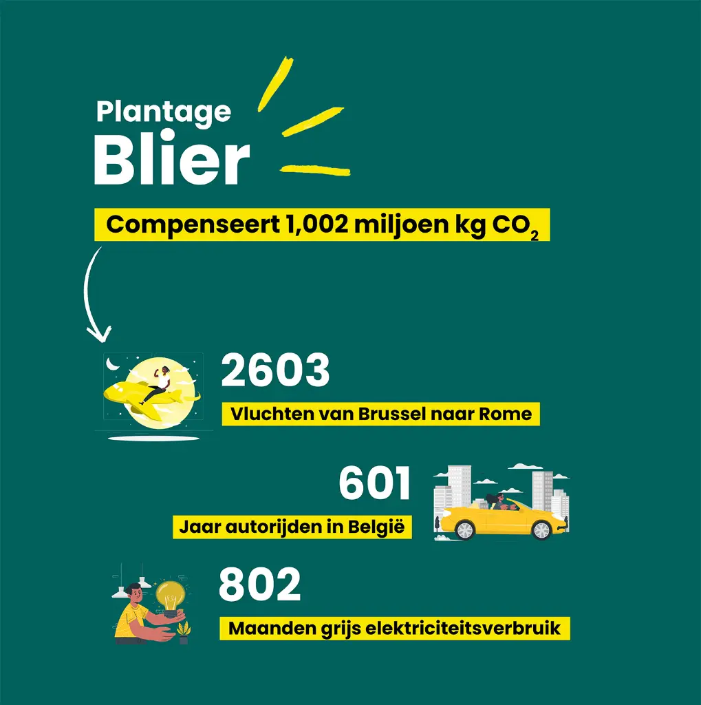 blier uitverkocht 3.webp