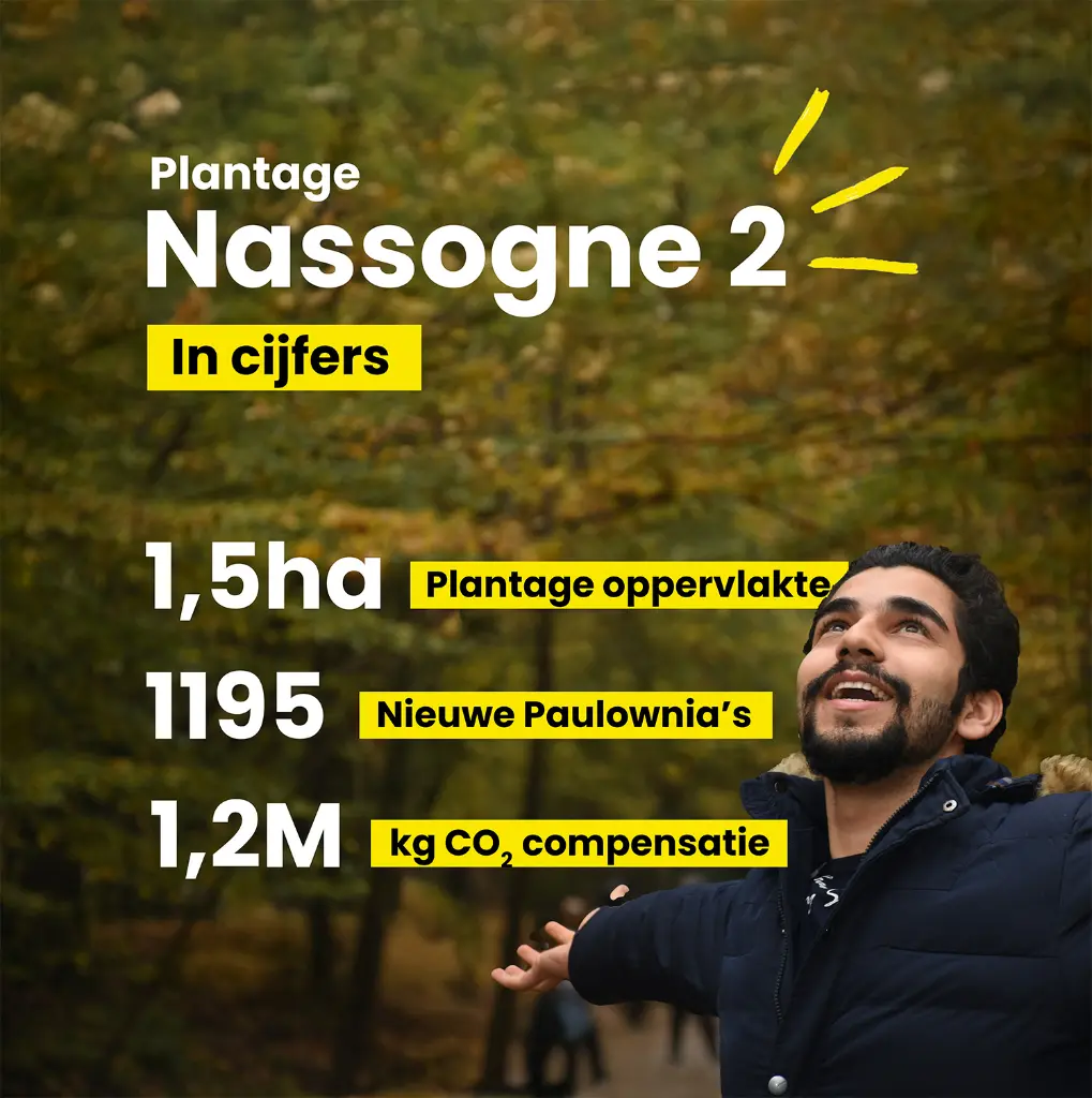 Nassogne 2 in cijfers.webp