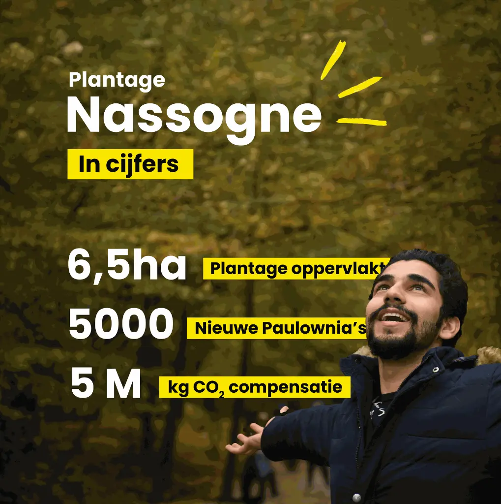 Nassogne 1 in cijfers - final.webp