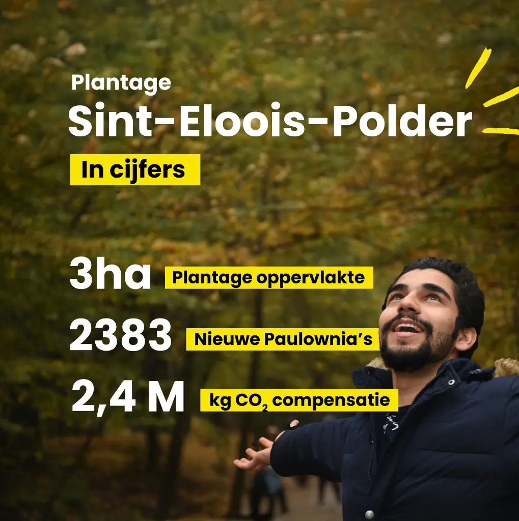 SEP in cijfers - final.webp