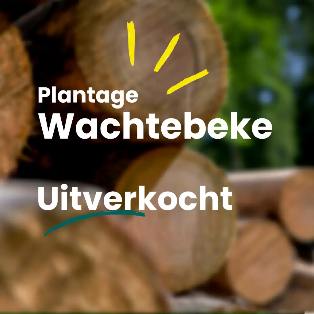 Wachtebeke