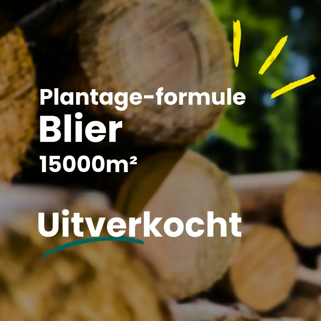 Blier 15000m²